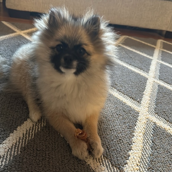 ❤️LOVES OFFERS ❤️! - Picture 9 of 16